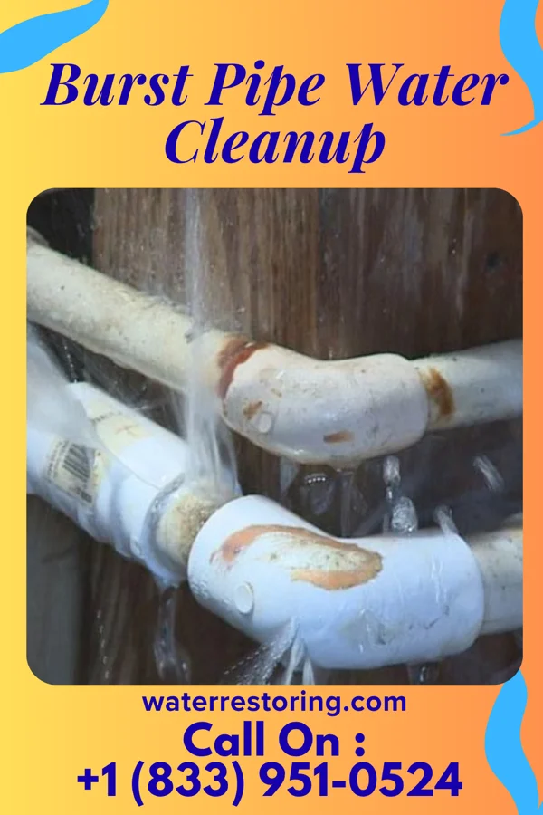 Burst Pipe Water Cleanup in Bethany, IN