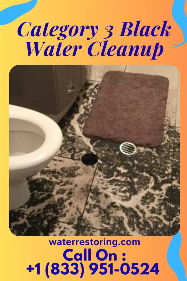 Category 3 Black Water Cleanup in Bethany, IN