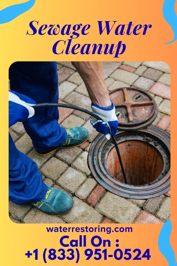 Sewage Water Cleanup in Bethany, IN